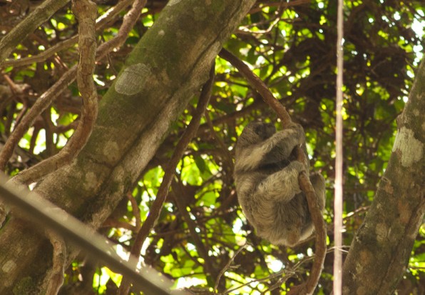 Costa Rica