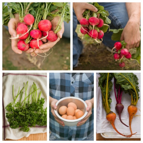 Farmers Market